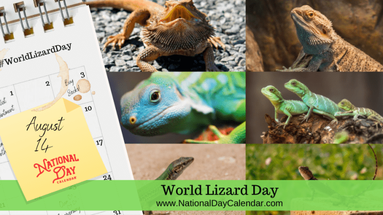 WORLD LIZARD DAY - August 14 - National Day Calendar