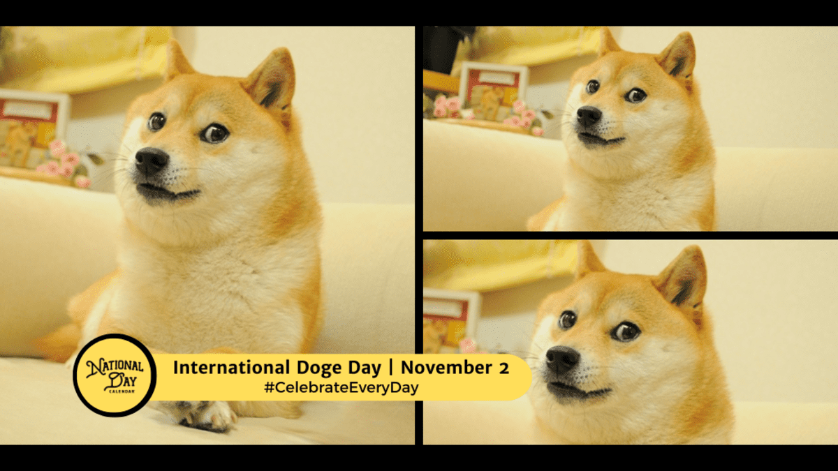 INTERNATIONAL DOGE DAY | November 2 - National Day Calendar