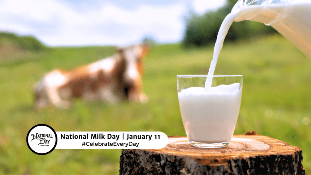 National Cow Day 2024 Images Lark Simona