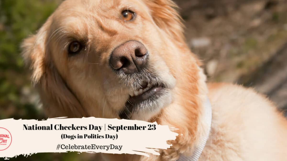 National dogs in politics day online