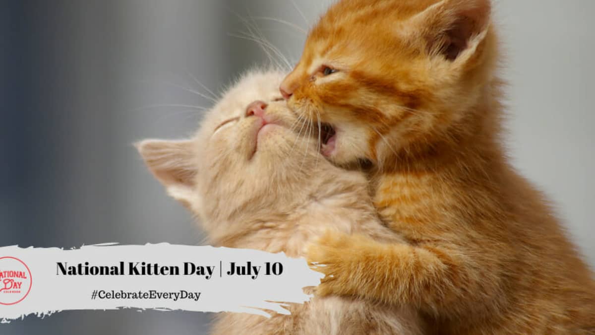 NATIONAL KITTEN DAY July 10 National Day Calendar