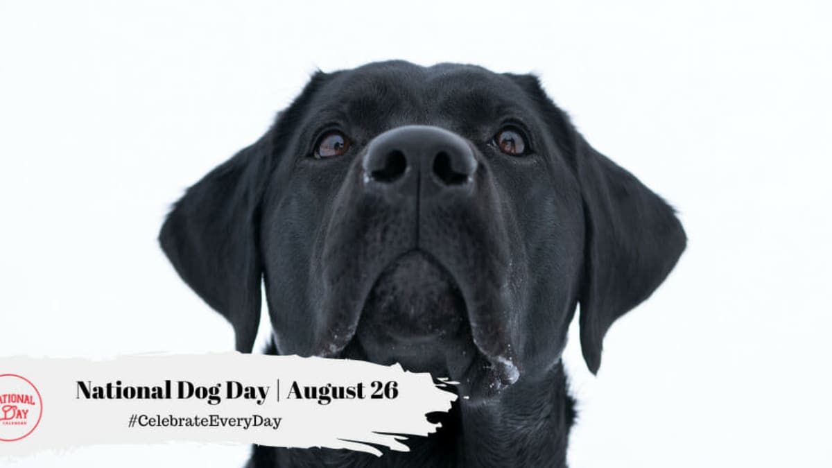 National dog shop