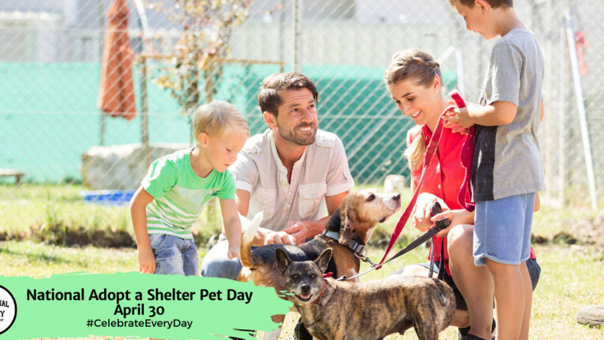 Adopt a dog sales for a day