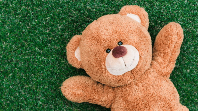 Teddy teddy day sales