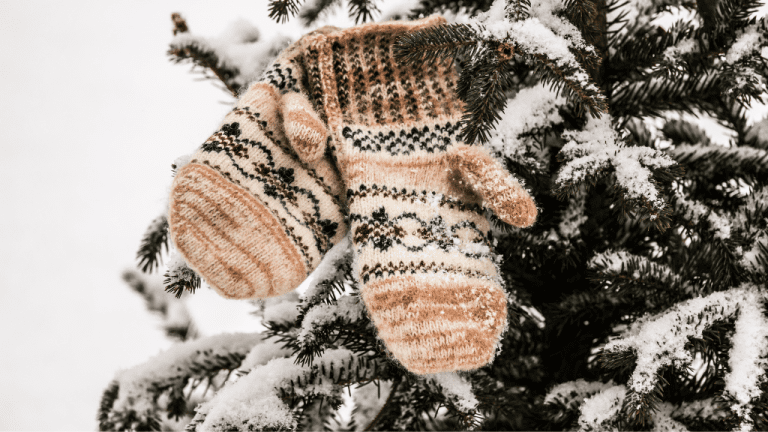 Winter mittens 2024