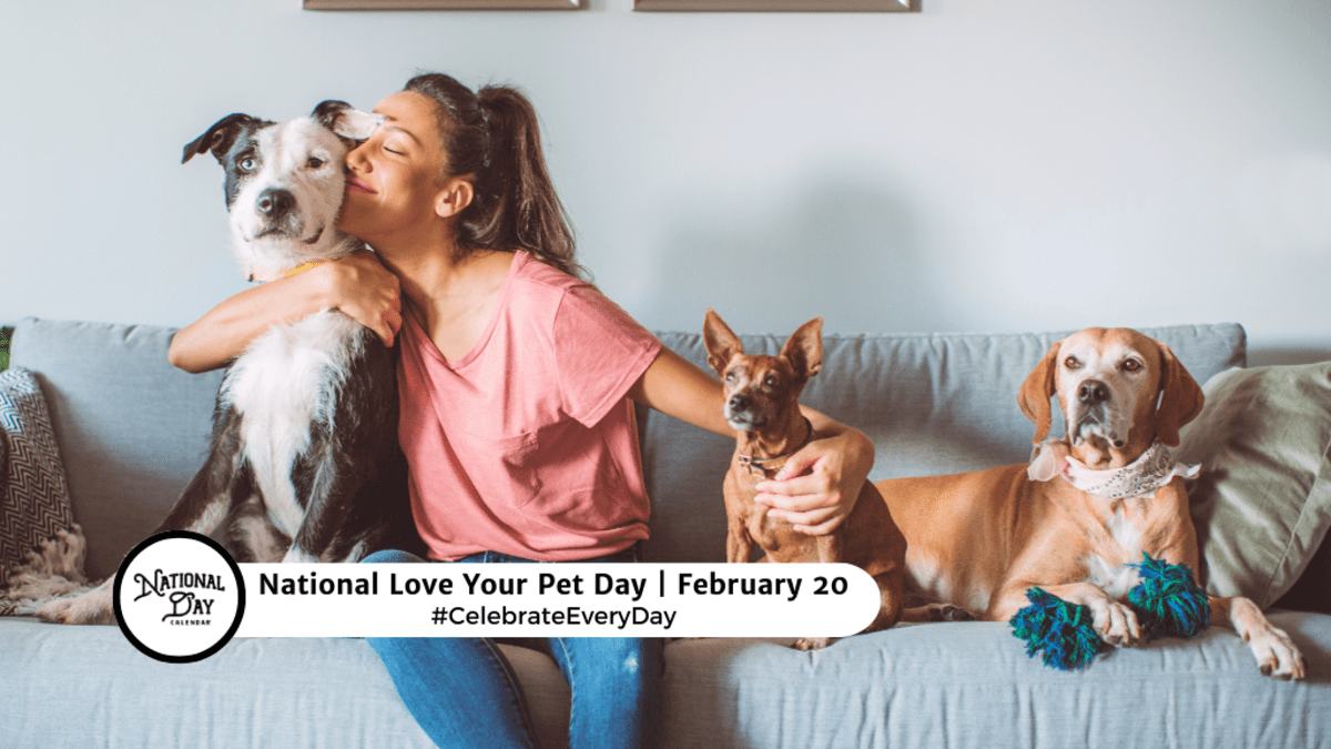 International love sales your pet day