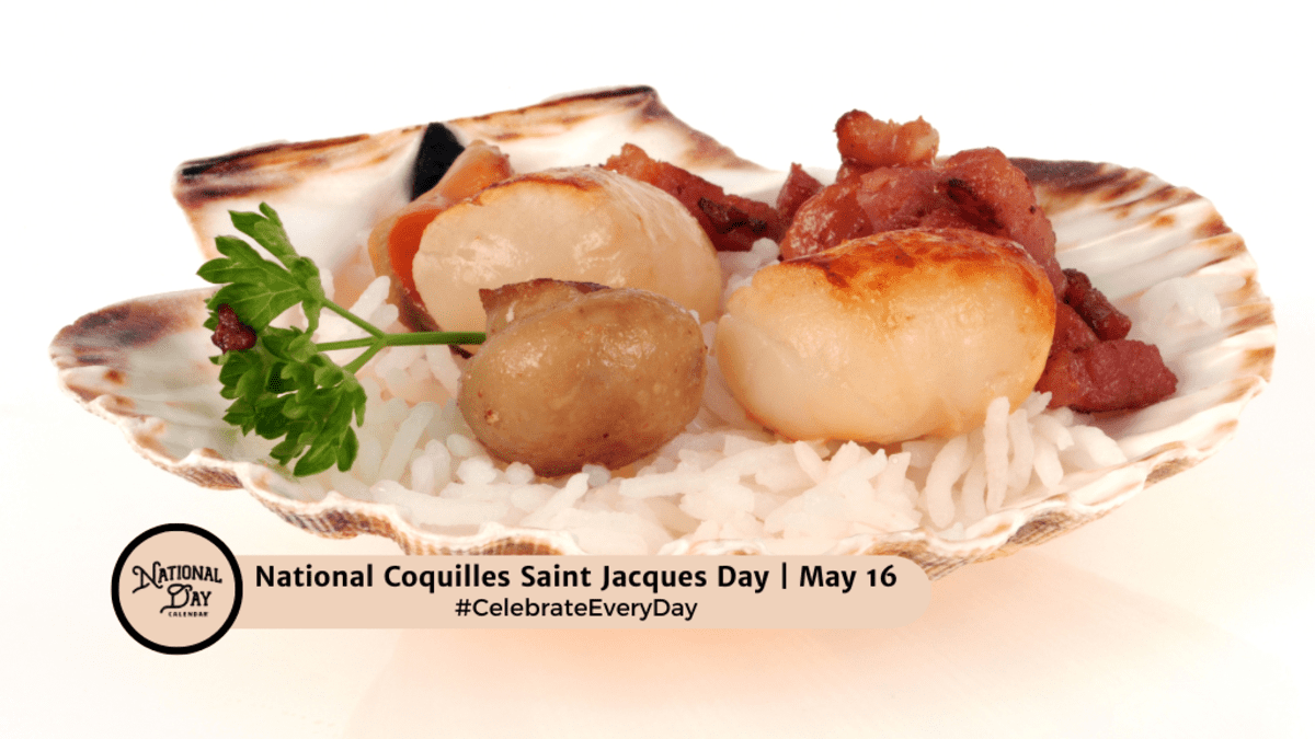 1. coquilles saint-jacques sale