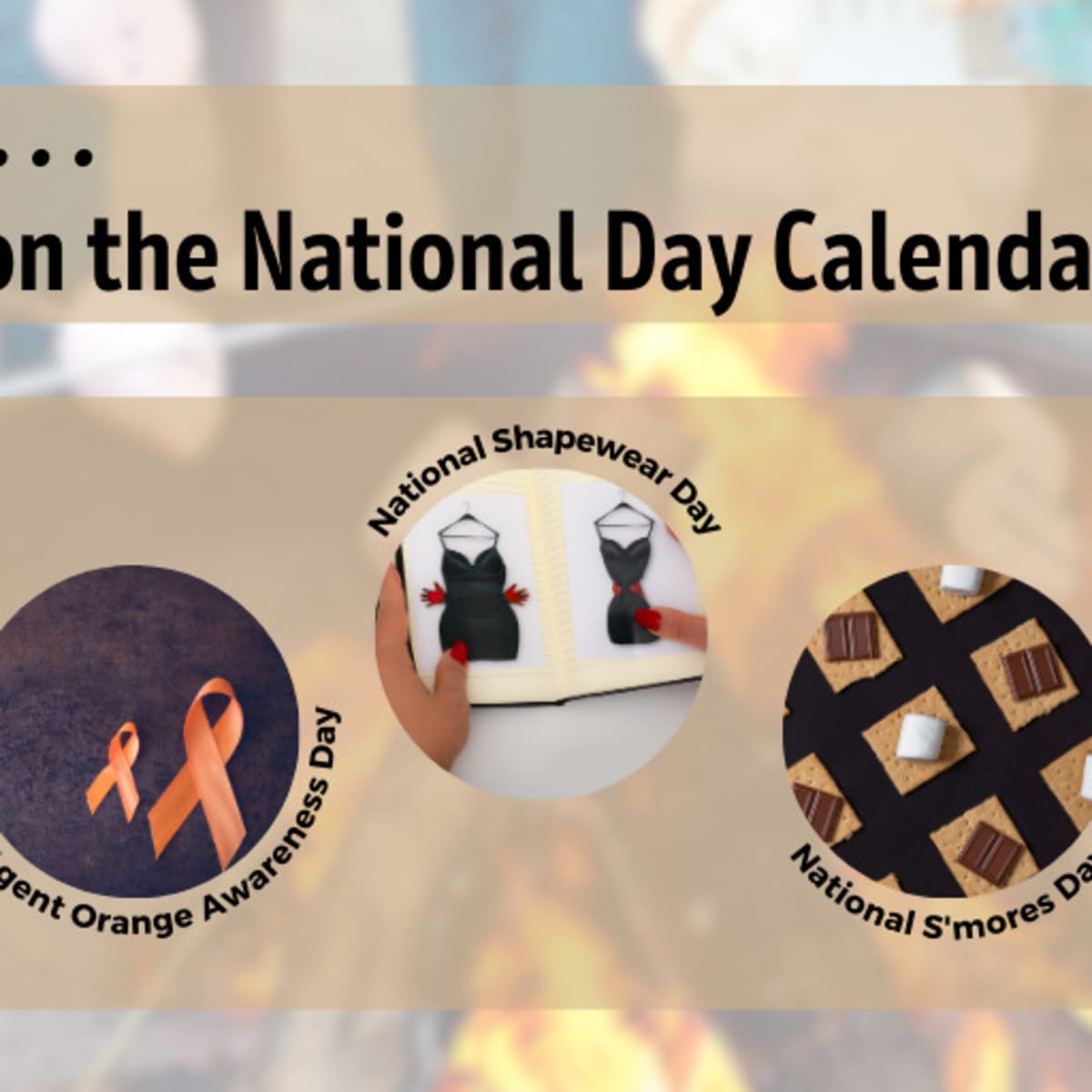 august-10-2023-national-lazy-day-national-shapewear-day-national-s-mores-day-agent-orange-awareness-day-national-connecticut-day-national-day-calendar