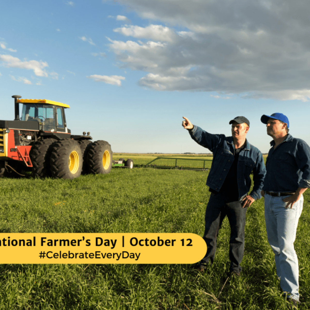 National Farm Calendar 2025 Donna Gayleen