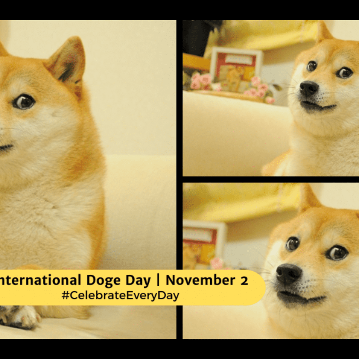 Doge Memes