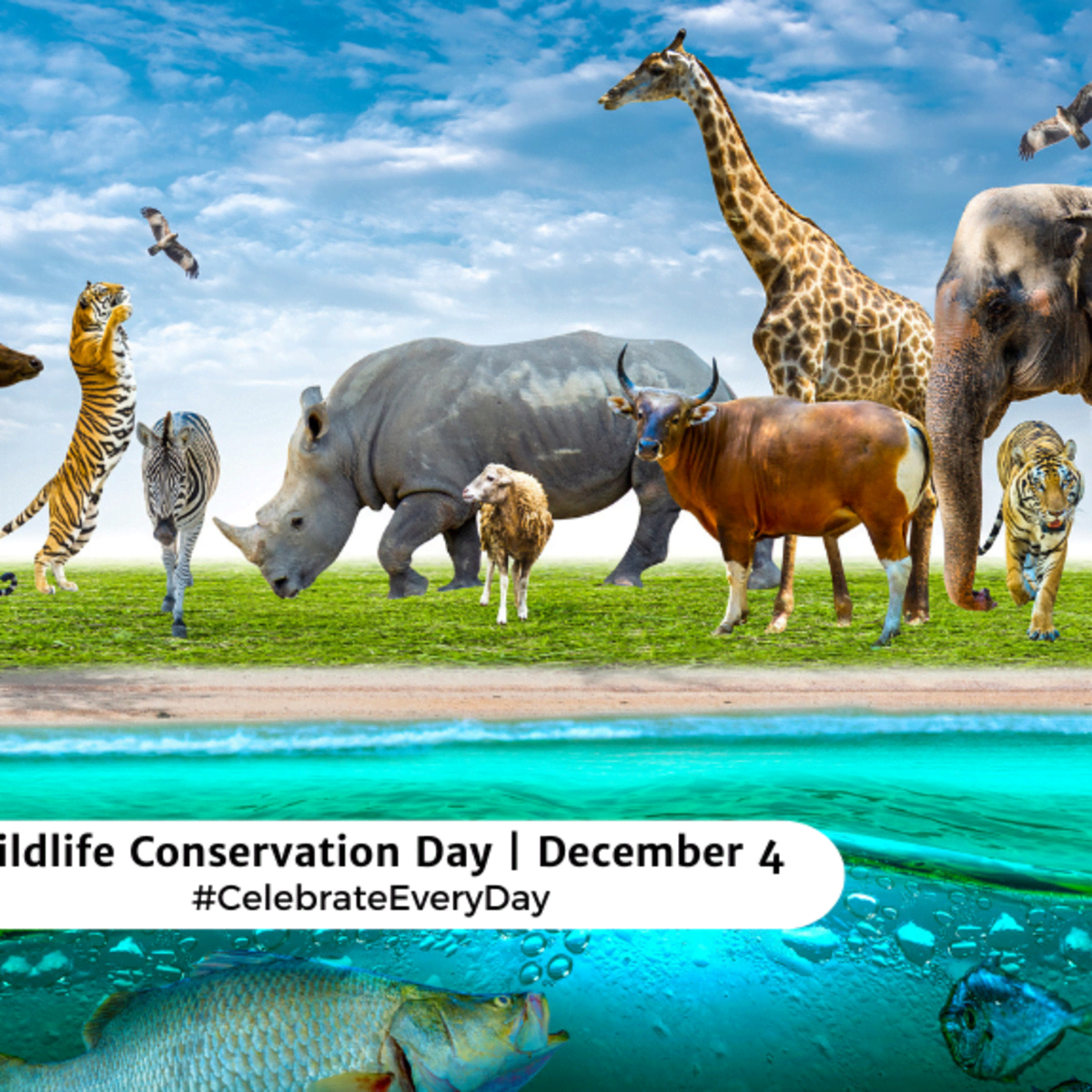 WILDLIFE CONSERVATION DAY - December 4 - National Day Calendar