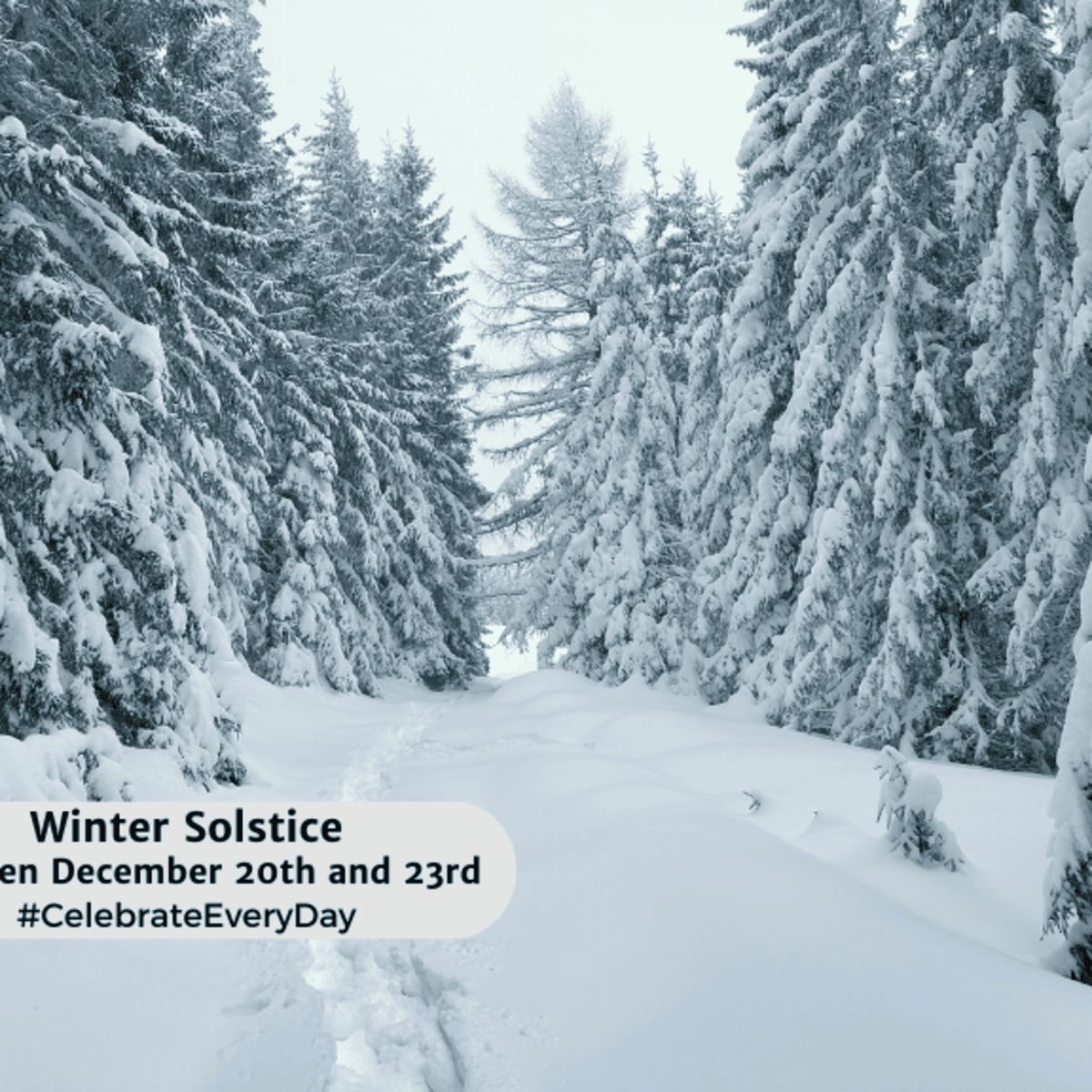 Winter Solstice 2023: When Is the First Day of Winter? What Is the