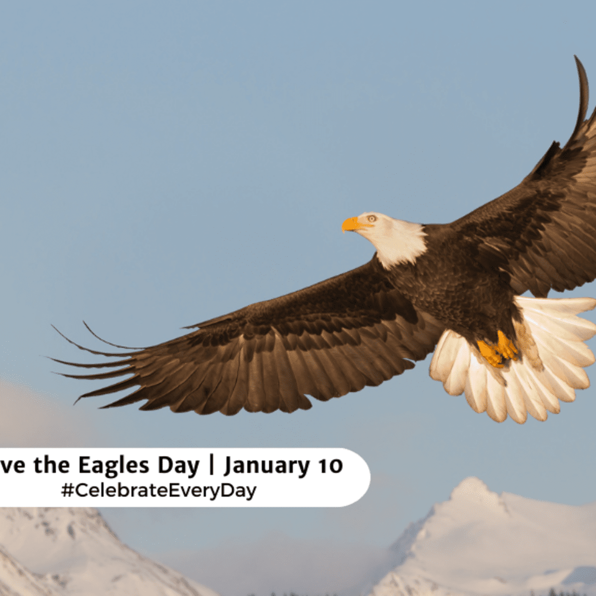 SAVE THE EAGLES DAY - January 10 - National Day Calendar