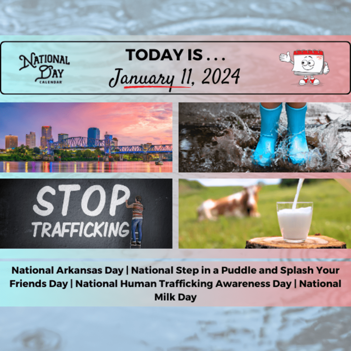 JANUARY 11, 2024, NATIONAL MILK DAY, NATIONAL HUMAN TRAFFICKING AWARENESS  DAY, NATIONAL STEP IN A PUDDLE AND SPLASH YOUR FRIENDS DAY