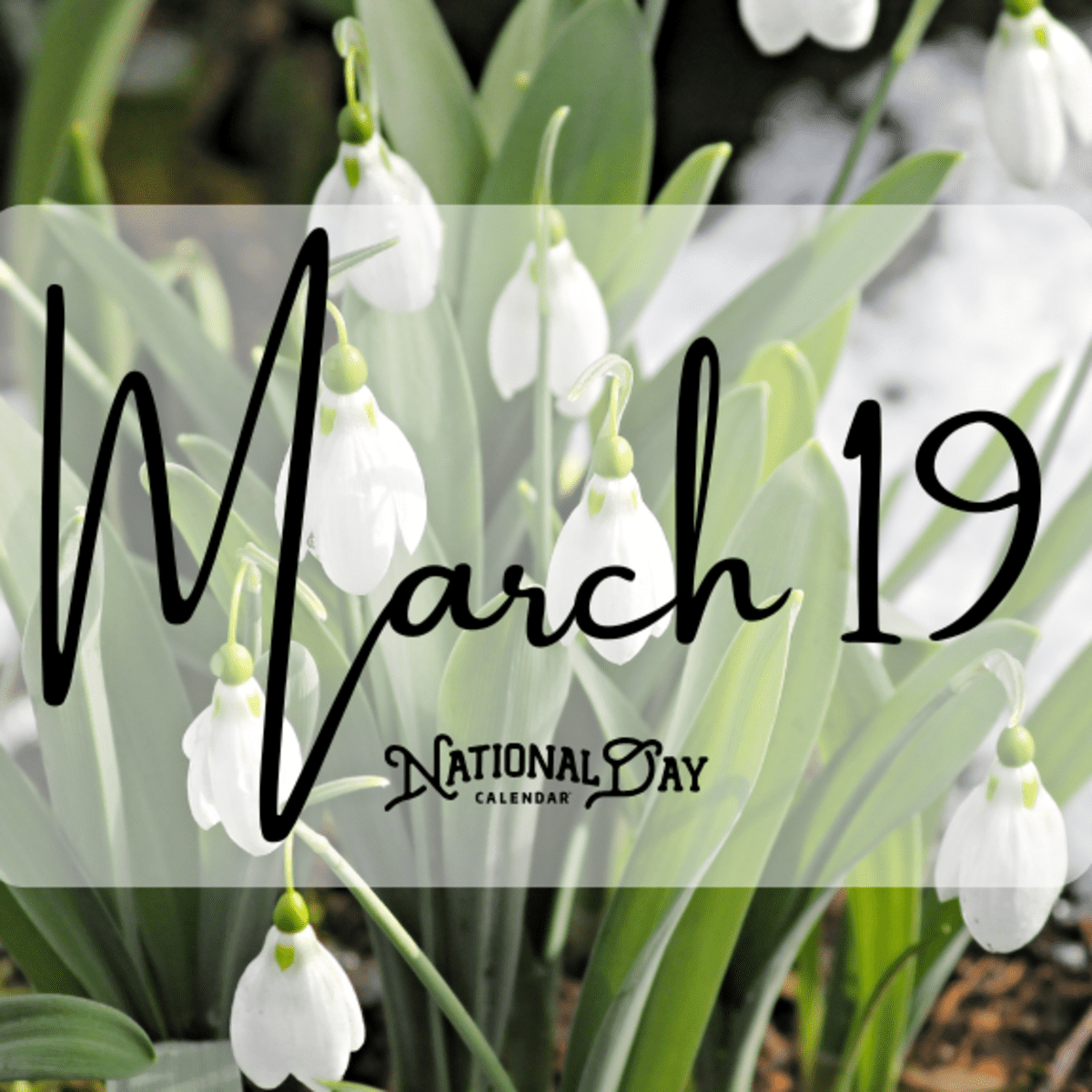 MARCH 19 | Birthdays and Events - National Day Calendar