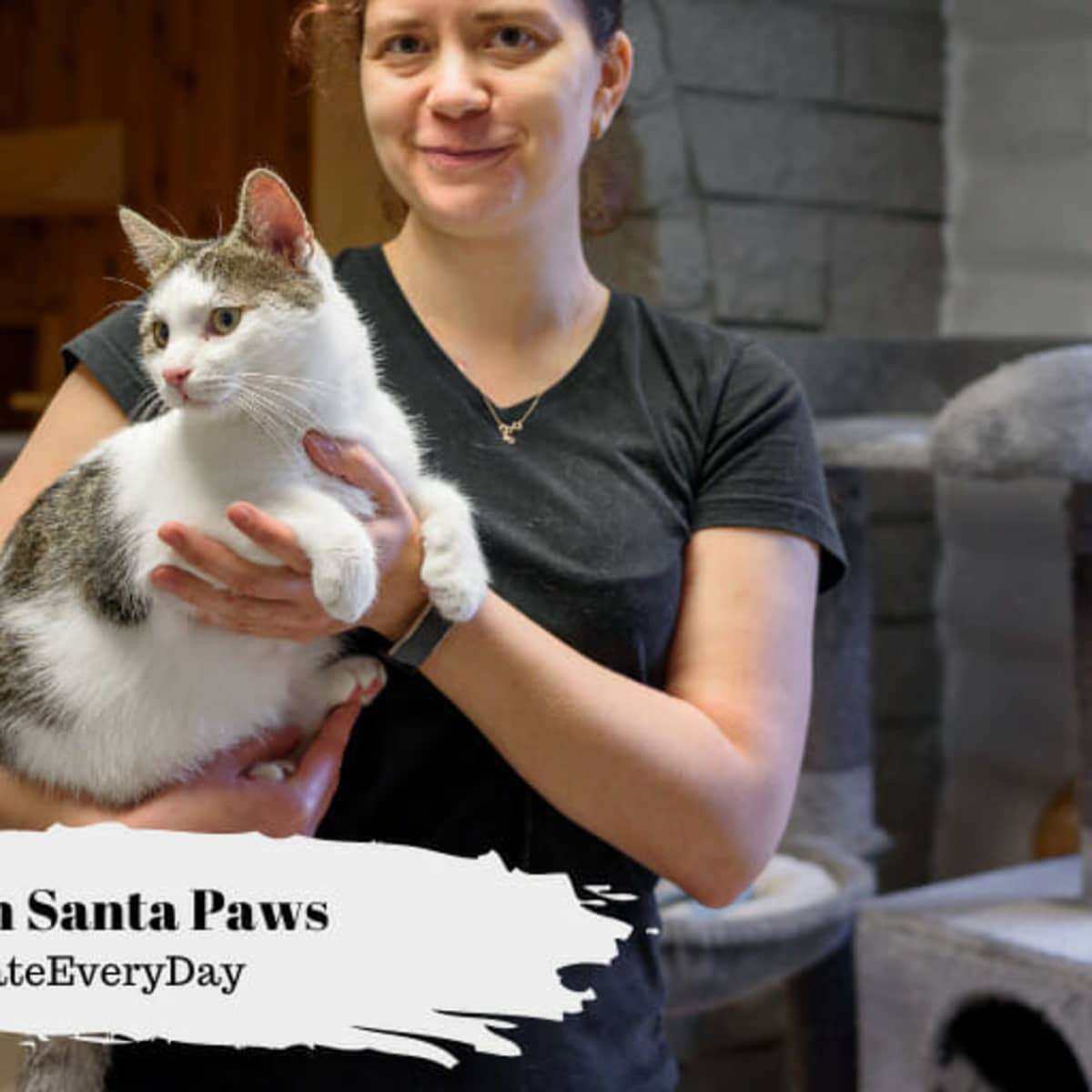 Santa paws cat top