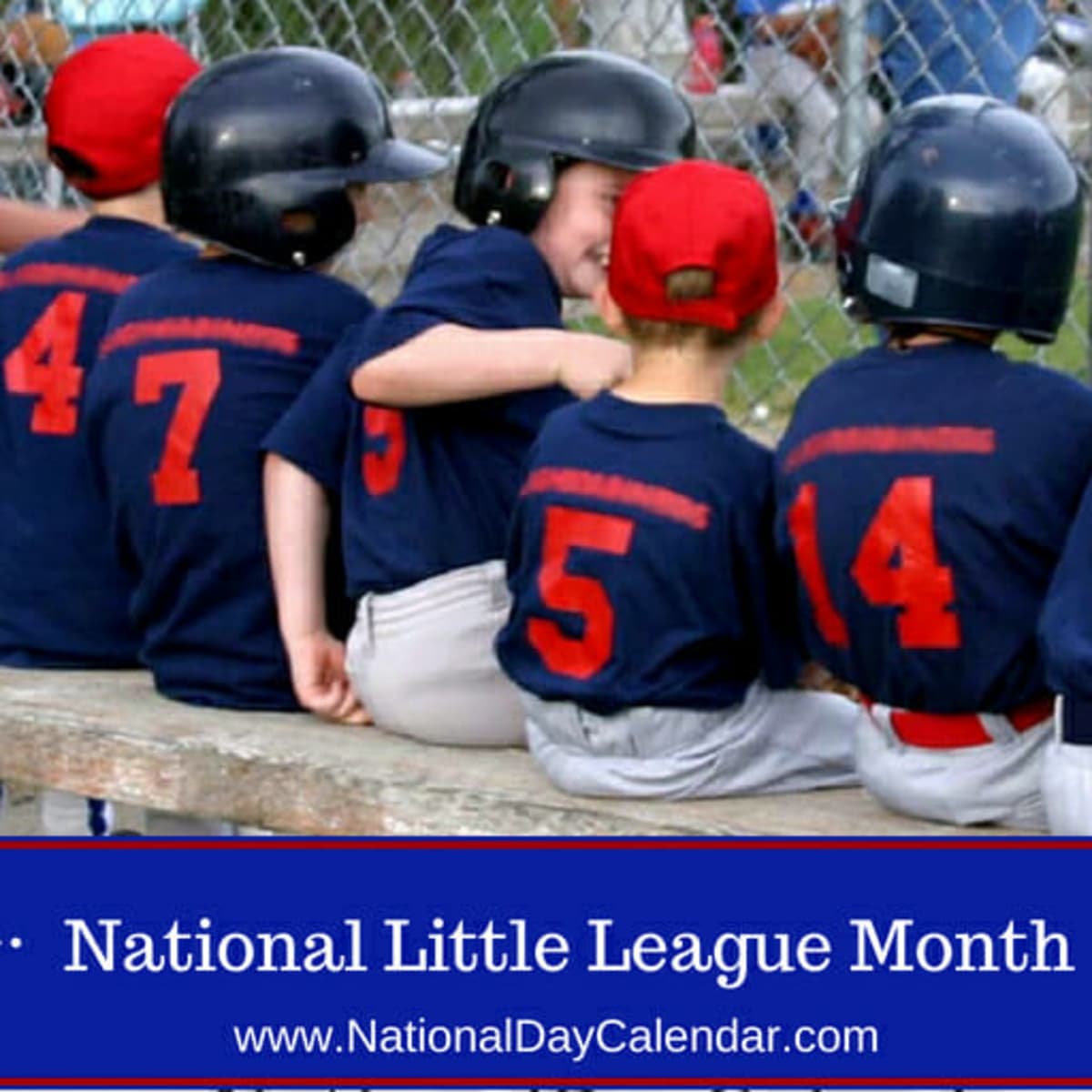 National baseball discount league