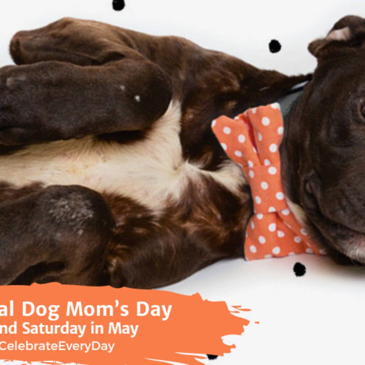 Mothers day for dog mom 2025