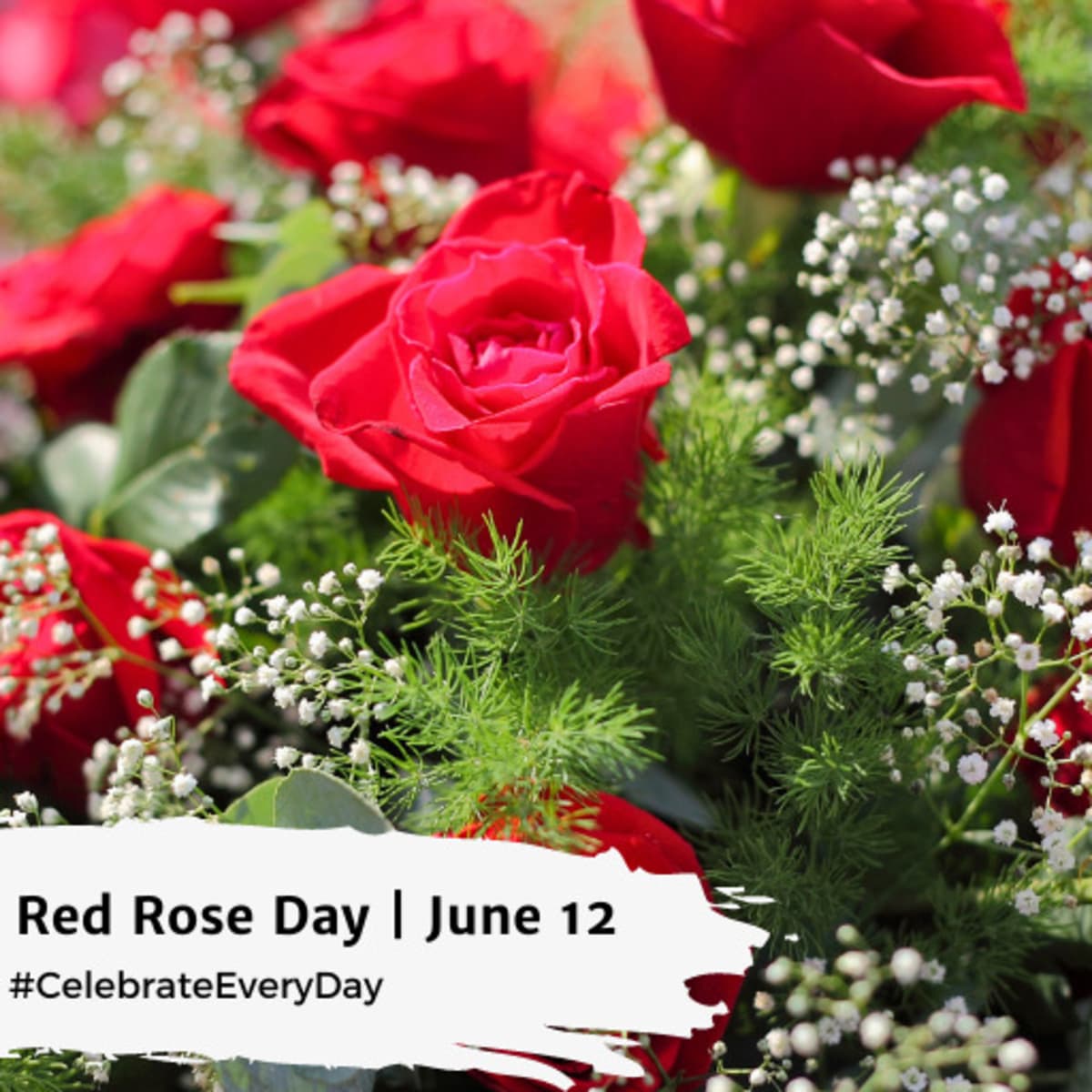 Red rose day deals