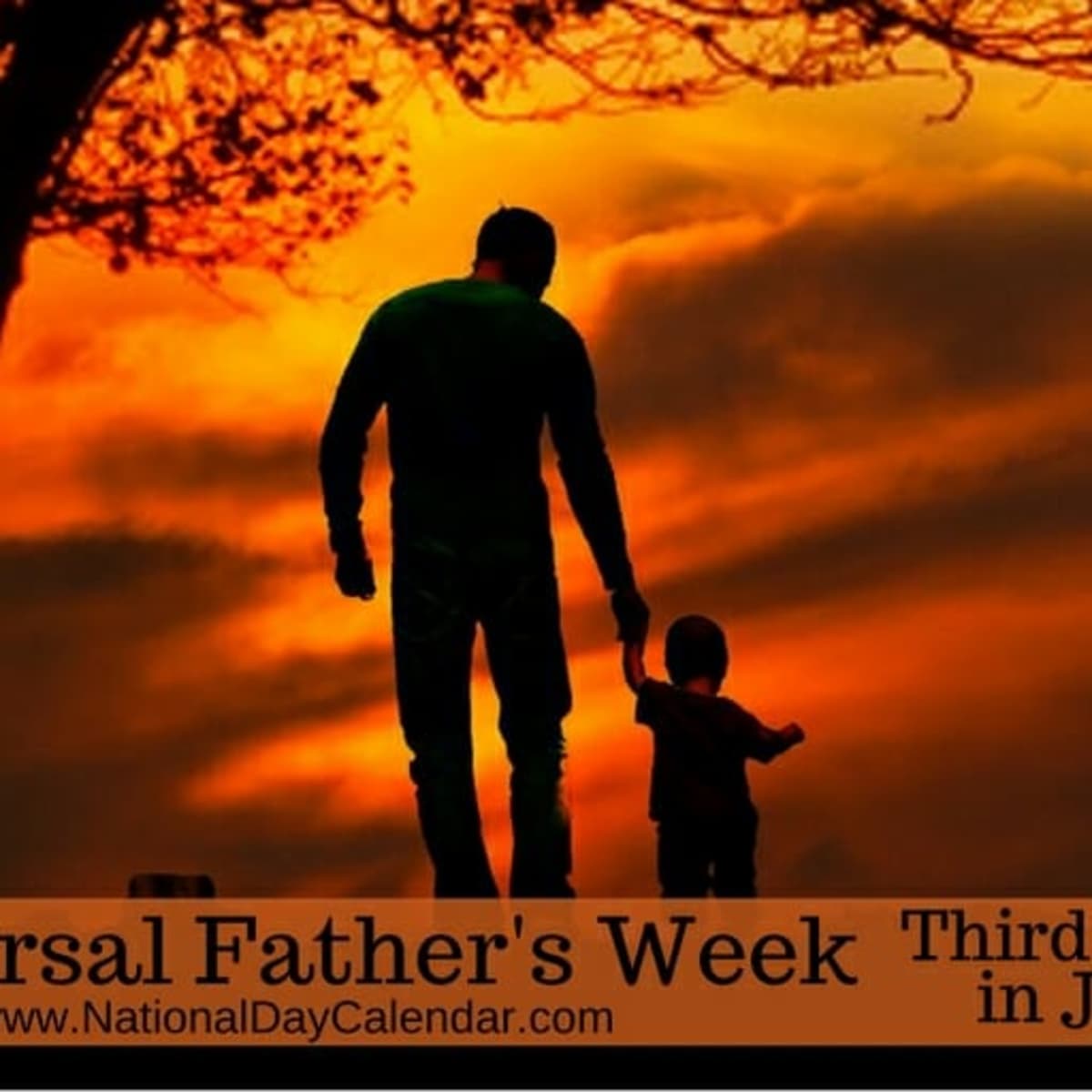 National father's day discount