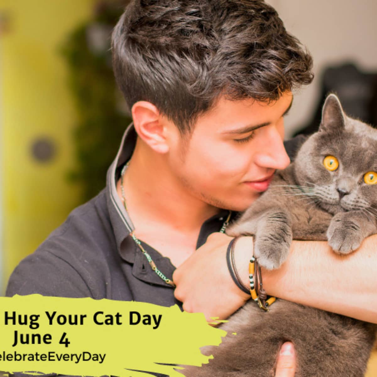 Hugging hotsell a cat