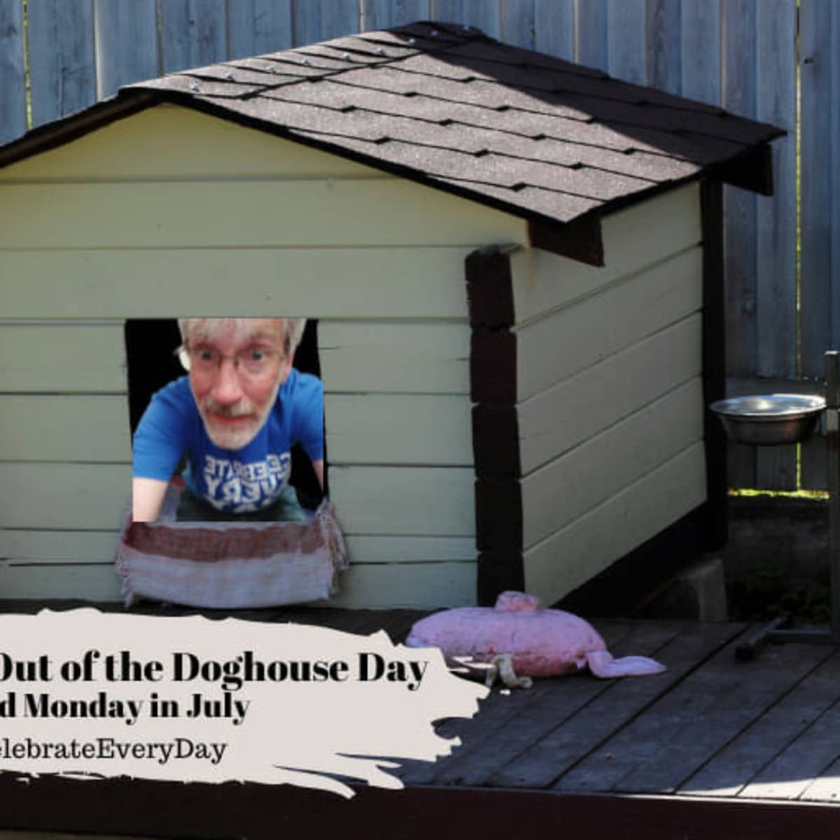 Not in the doghouse sale