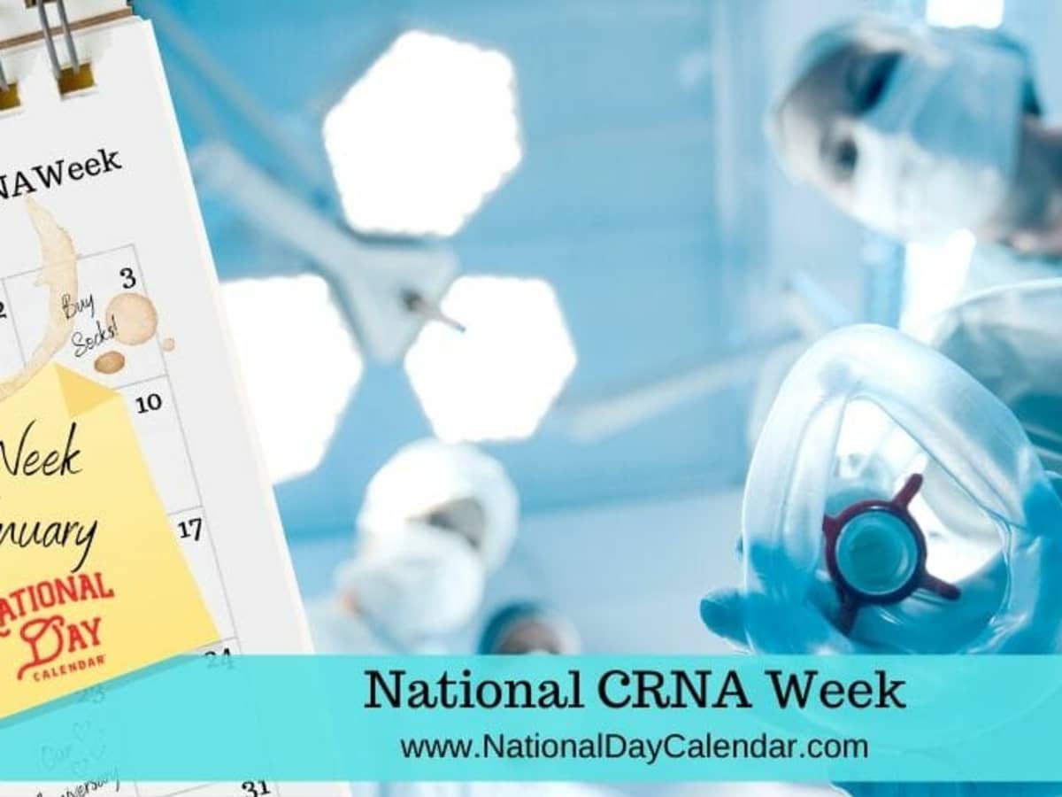 National Day Calendar 2024 Ophthalmology Elise Helenka