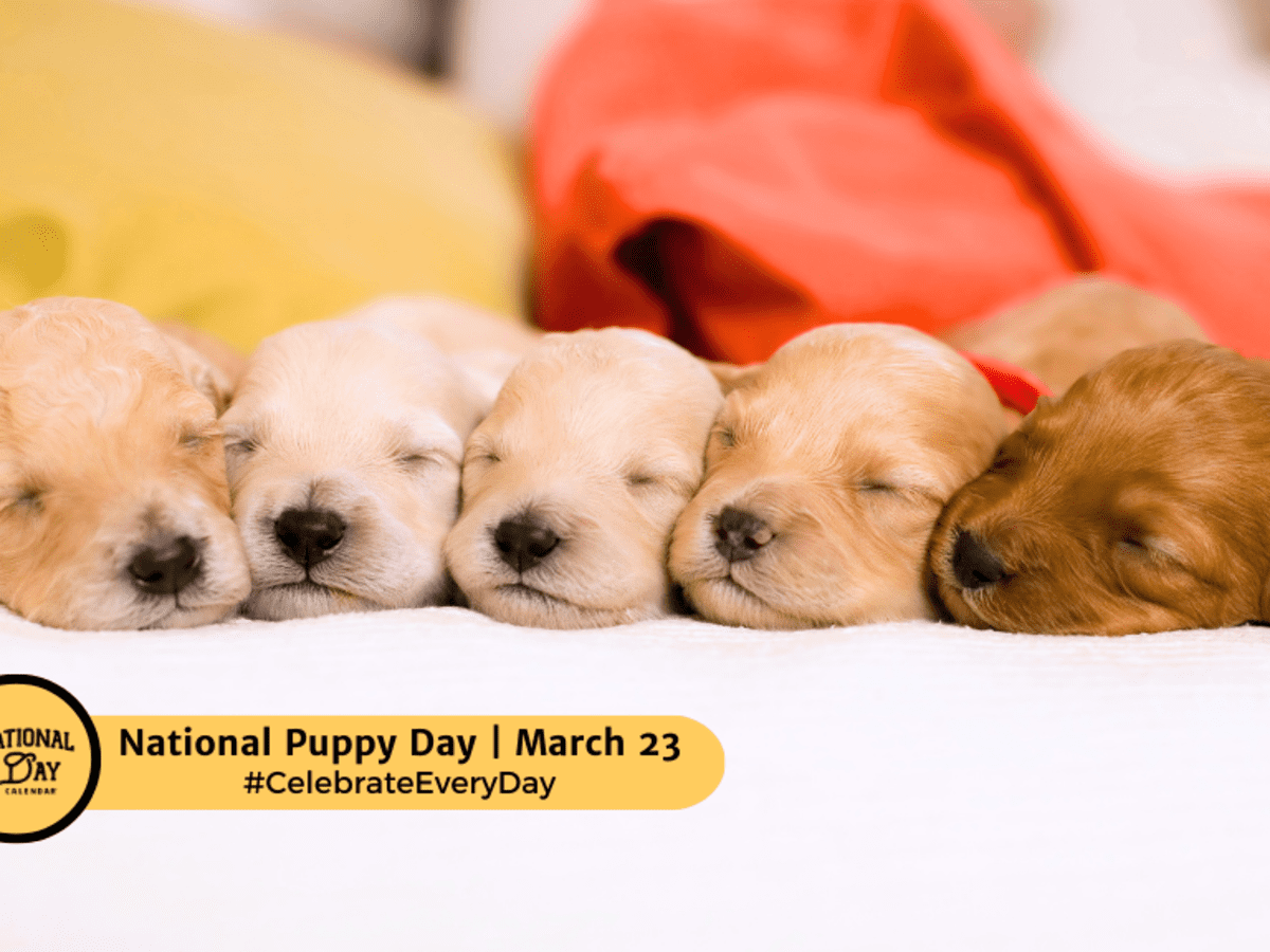 NATIONAL PUPPY DAY - March 23 - National Day Calendar