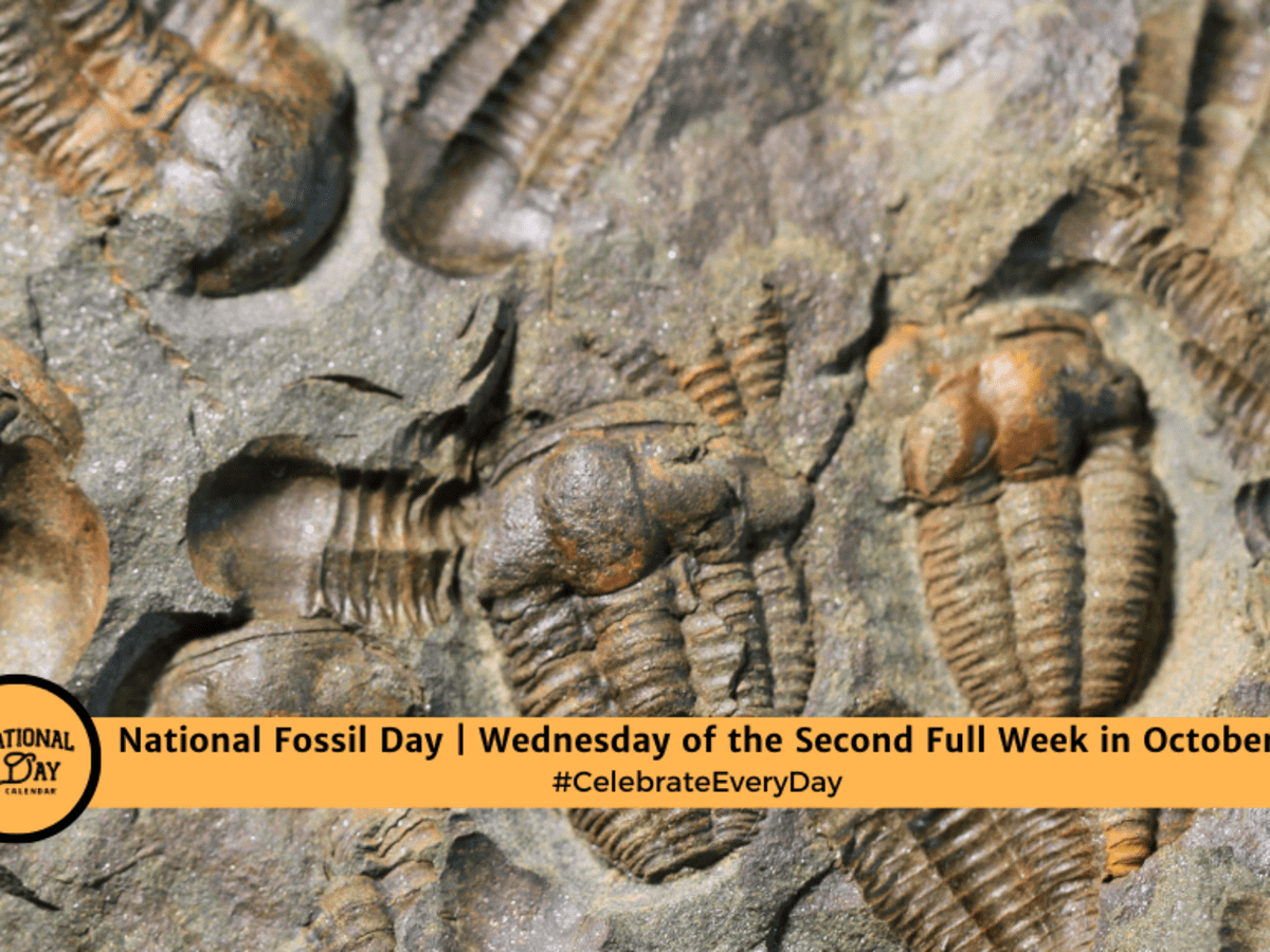 National Fossil Day 2024 Usa Edith Gwenore