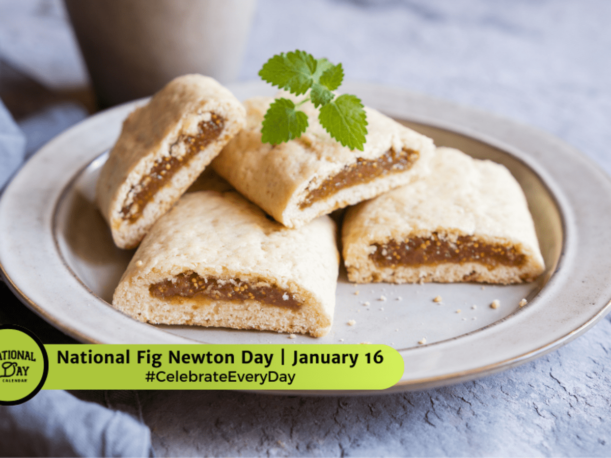 National Food Day Calendar January 2025 Lilas Demetris
