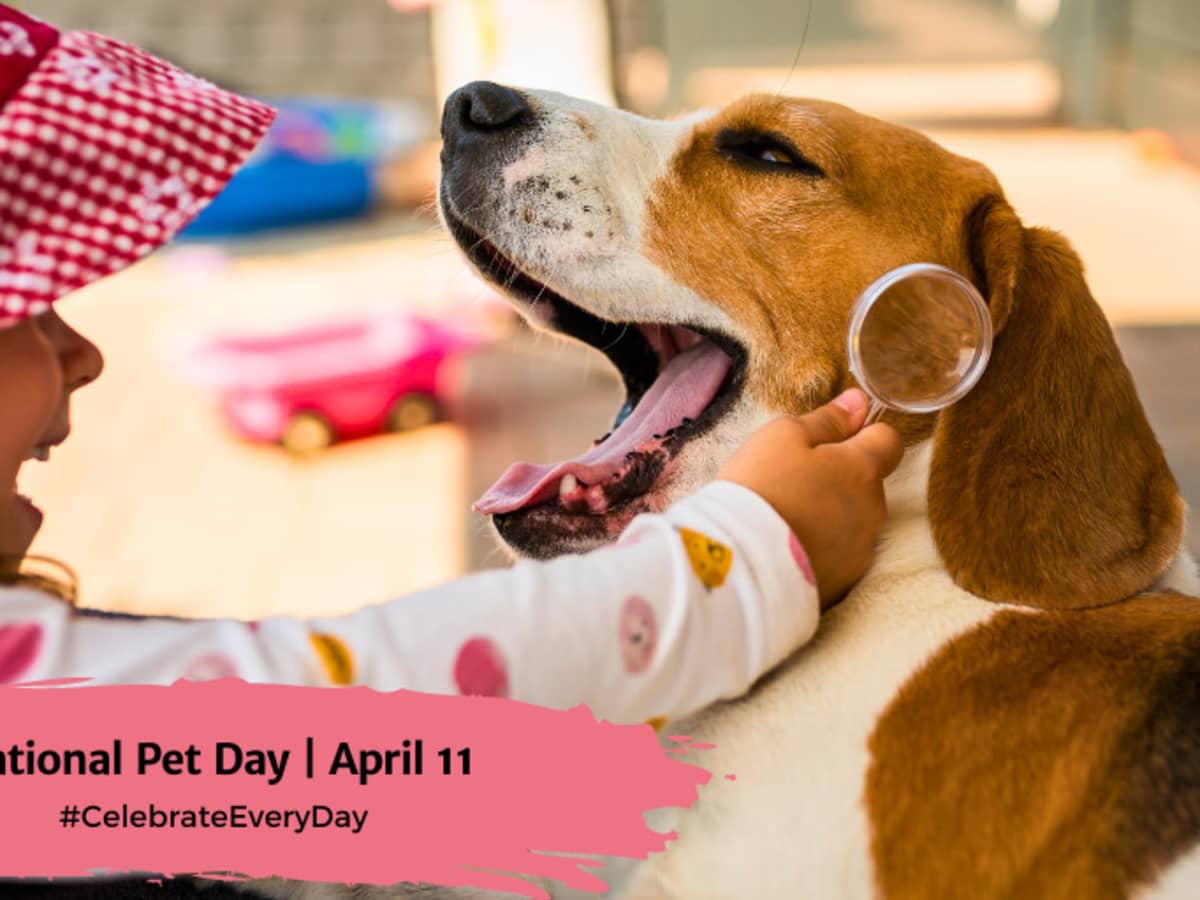 International love your top pet day 2019