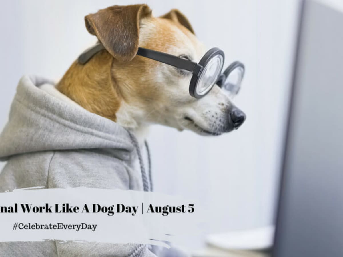 Like your dog online
