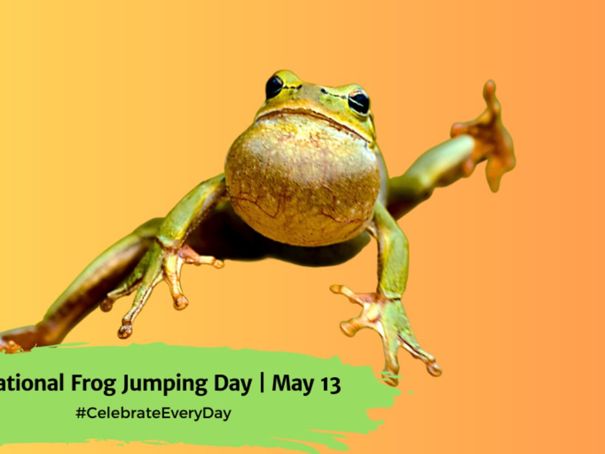 Frog jumps sale
