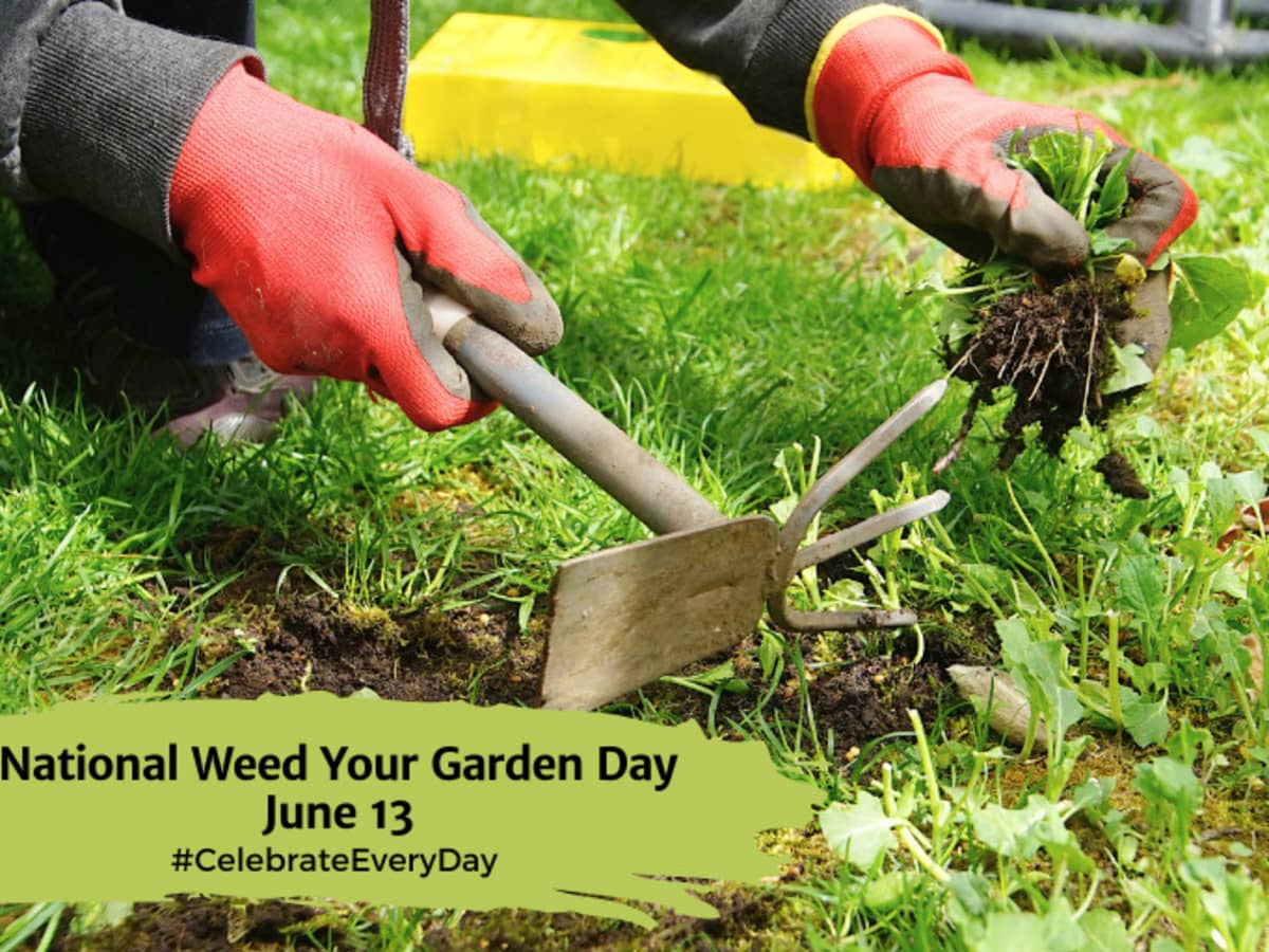 NATIONAL WEED YOUR GARDEN DAY June 13 National Day Calendar