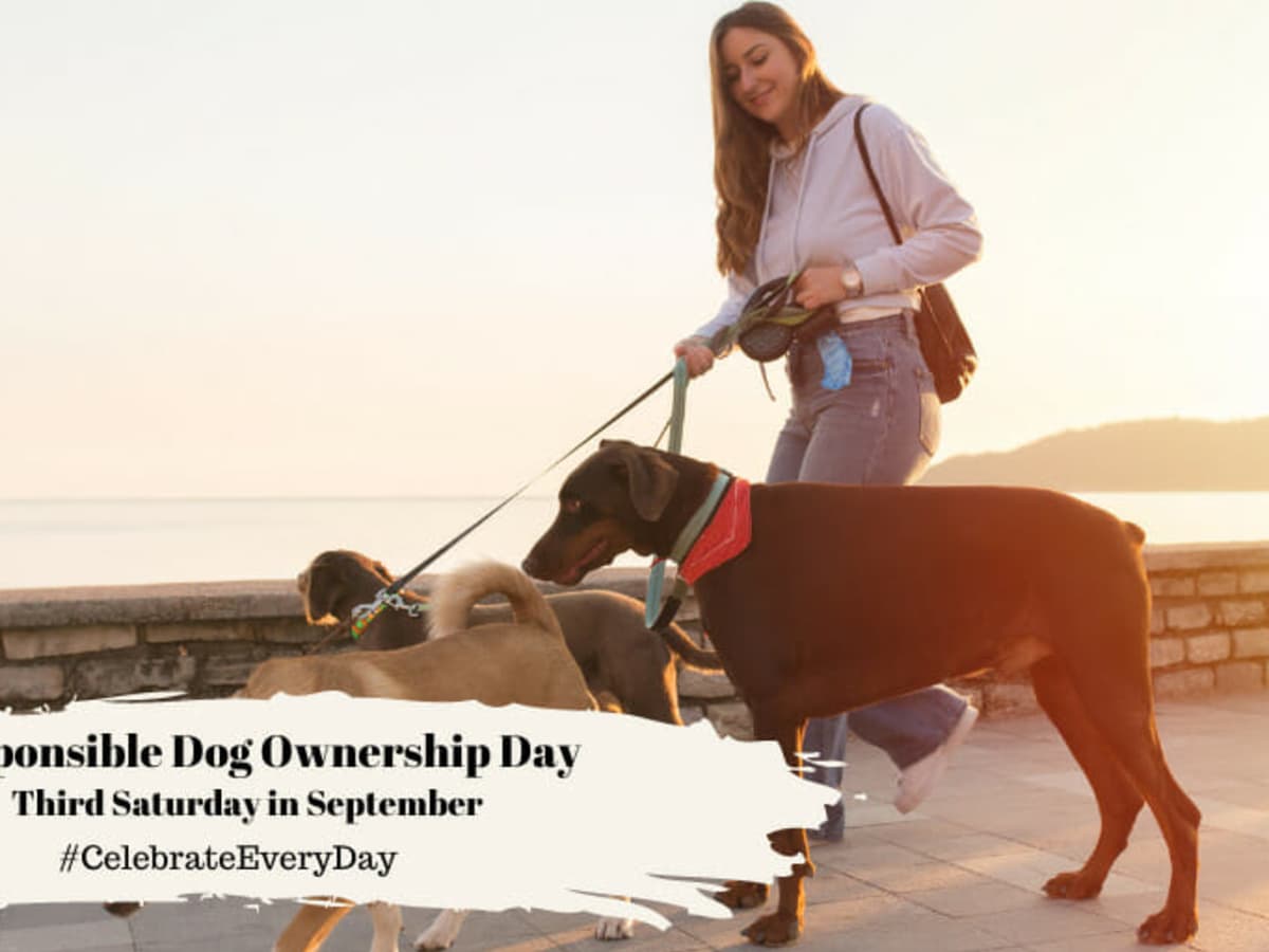 Responsible dog ownership day 2025