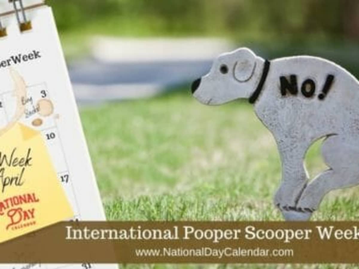 INTERNATIONAL POOPER SCOOPER WEEK First Week in April National