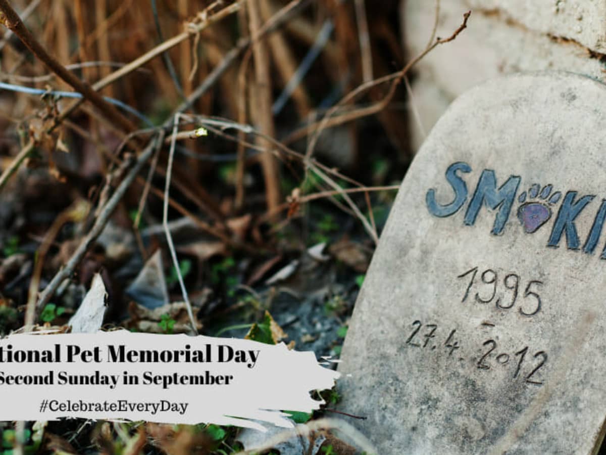 Mission pet shop memorials