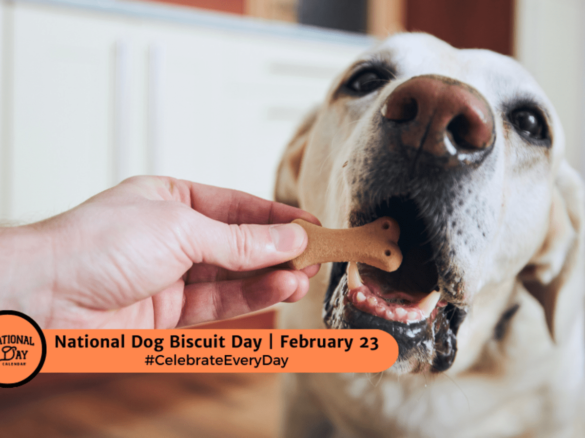 Dog biscuit day hotsell