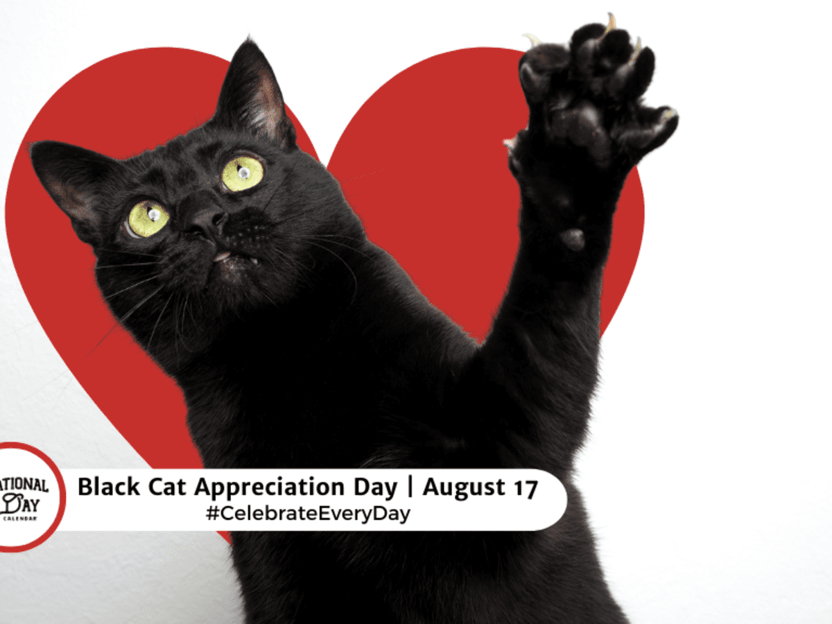 BLACK CAT APPRECIATION DAY August 17 National Day Calendar