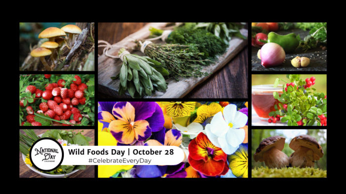 OCTOBER 24 2025 NATIONAL FOOD DAY NATIONAL BOLOGNA DAY NATIONAL