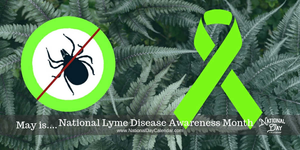 National Lyme Disease Awareness Month May National Day Calendar