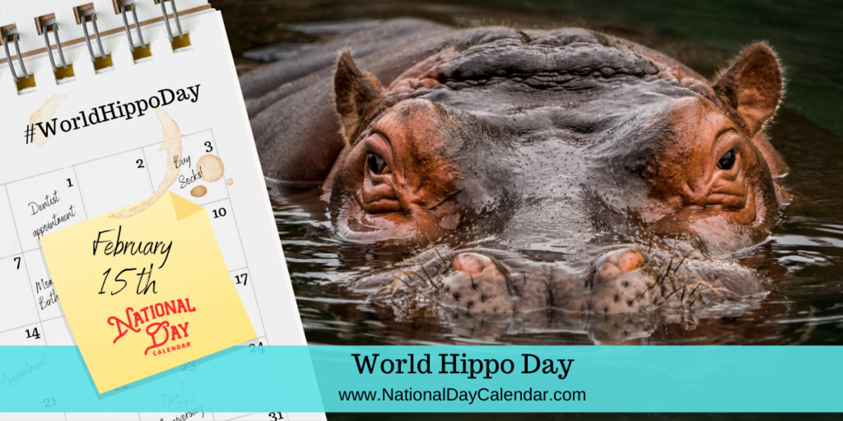 WORLD HIPPO DAY February 15 National Day Calendar