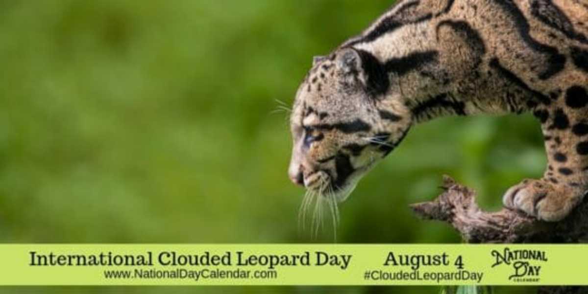INTERNATIONAL CLOUDED LEOPARD DAY - August 4 - National Day Calendar