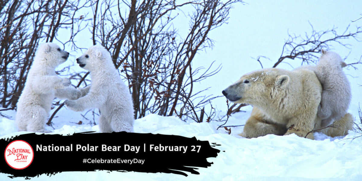 When Is National Polar Bear Day 2024 Jade Rianon