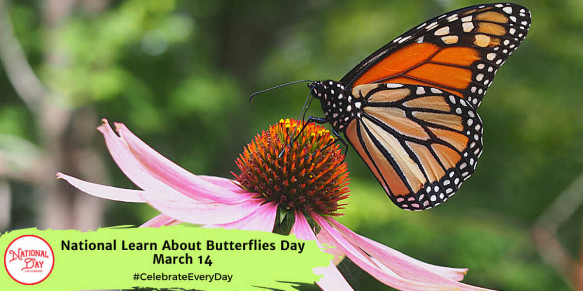 NATIONAL LEARN ABOUT BUTTERFLIES DAY March 14 National Day Calendar