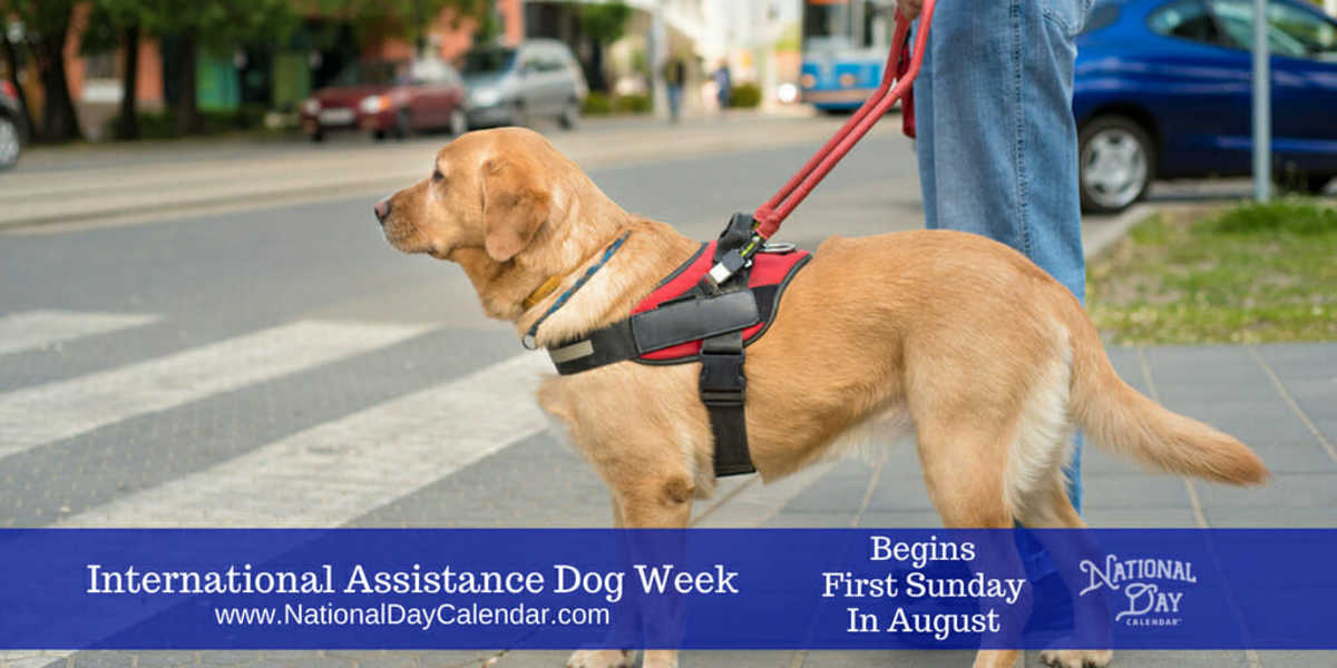 INTERNATIONAL ASSISTANCE DOG WEEK Begins The First Sunday In August international-assistance-dog-week-begins-the-first-sunday-in-august