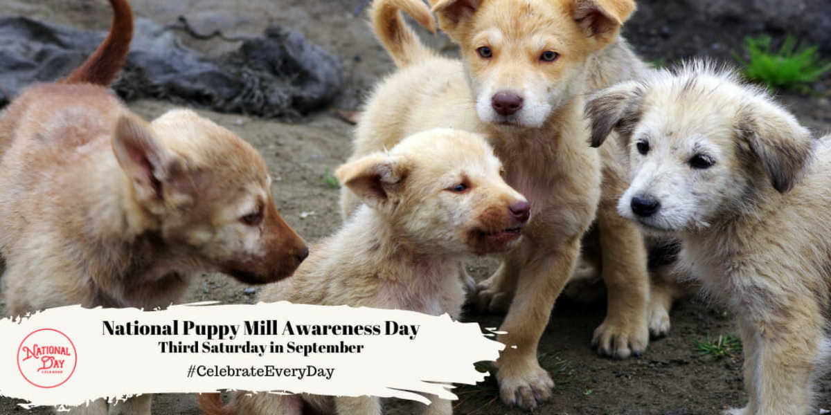 Puppy Mill Awareness Day 2025 Date