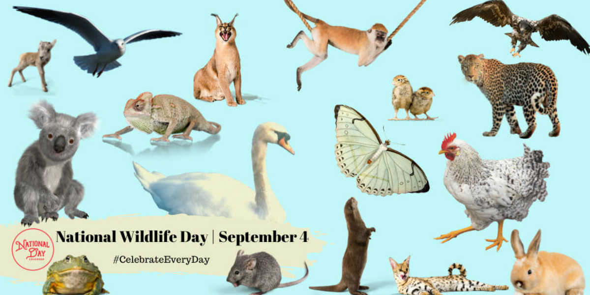 NATIONAL WILDLIFE DAY September 4 National Day Calendar