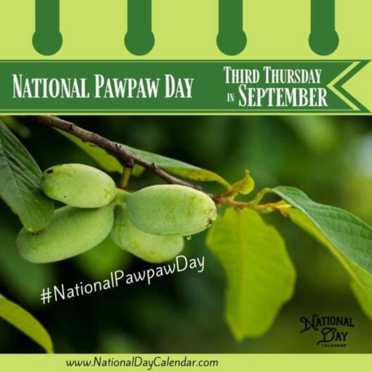NEW DAY PROCLAMATION |NATIONAL PAWPAW DAY - Third Thursday ...
