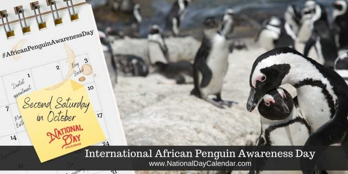 INTERNATIONAL AFRICAN PENGUIN AWARENESS DAY Second Saturday in